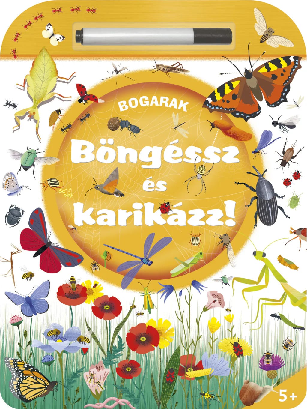 Böngéssz és karikázz – Bogarak 5. kép