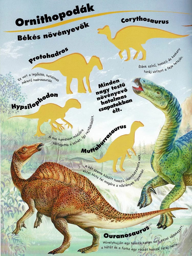 Mozgalmas matricásfüzet – Dinoszauruszok 2. kép