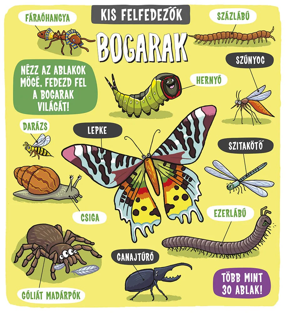 Kis felfedezők – Bogarak 1. kép