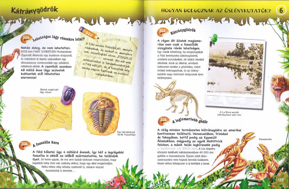 500 érdekesség a dinoszauruszokról, imaginea 8