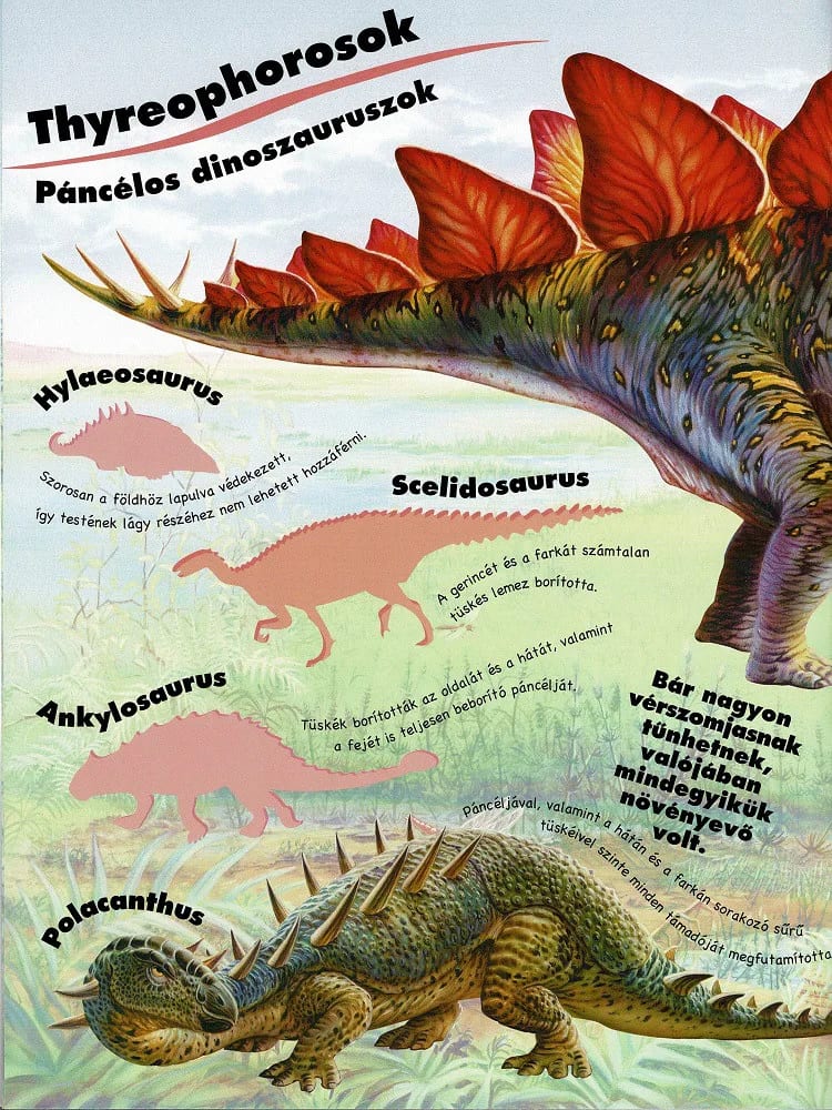 Mozgalmas matricásfüzet – Dinoszauruszok 4. kép