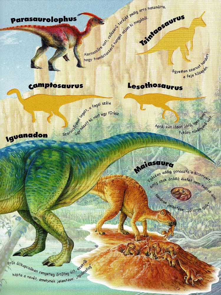 Mozgalmas matricásfüzet – Dinoszauruszok 3. kép