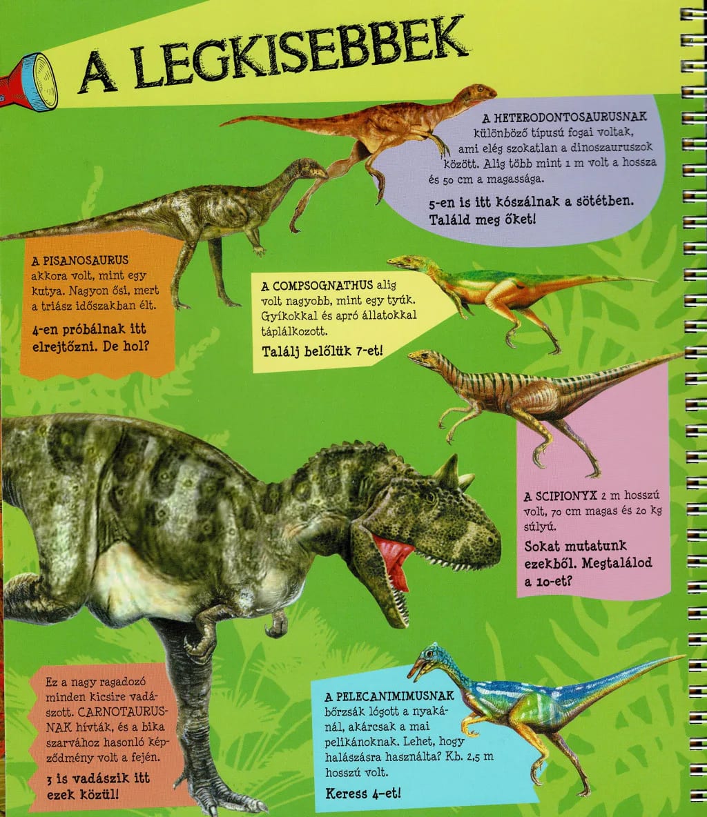 Zseblámpával – A tűzoltók nyomában, imaginea 5