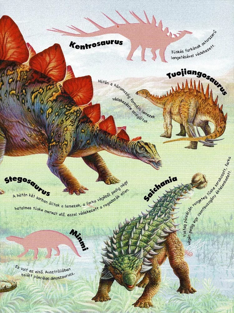 Mozgalmas matricásfüzet – Dinoszauruszok 5. kép