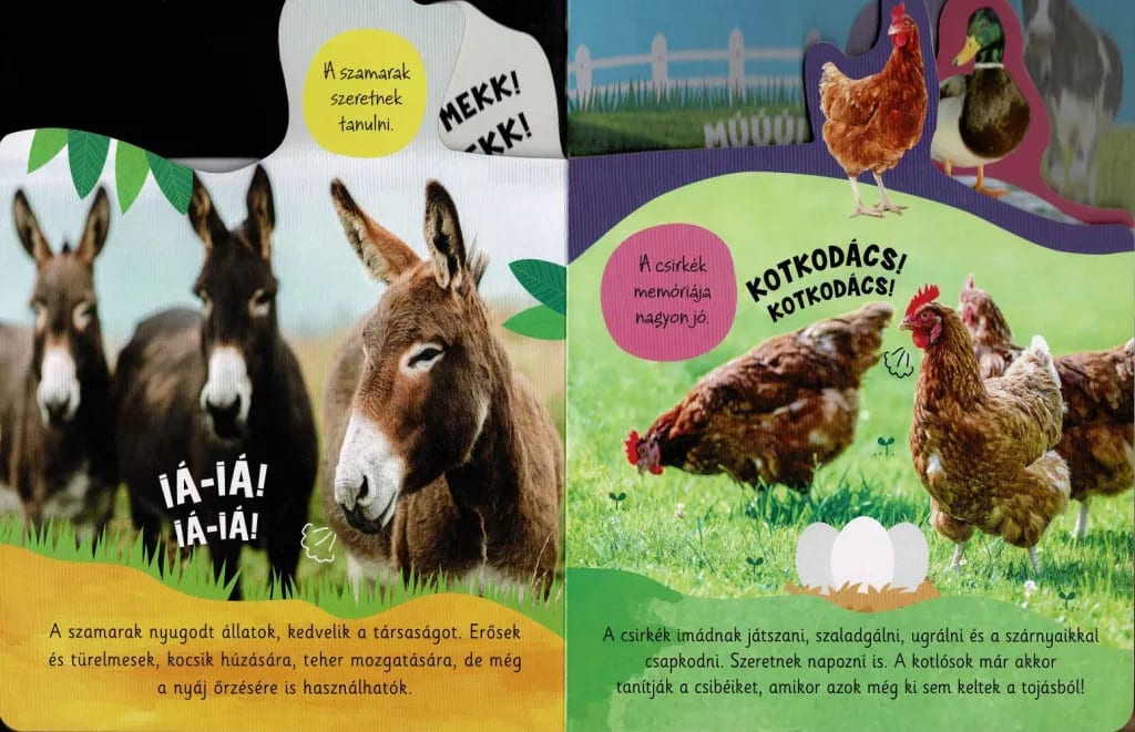 Milyen a hangja? – Tanyasi állatok 4. kép