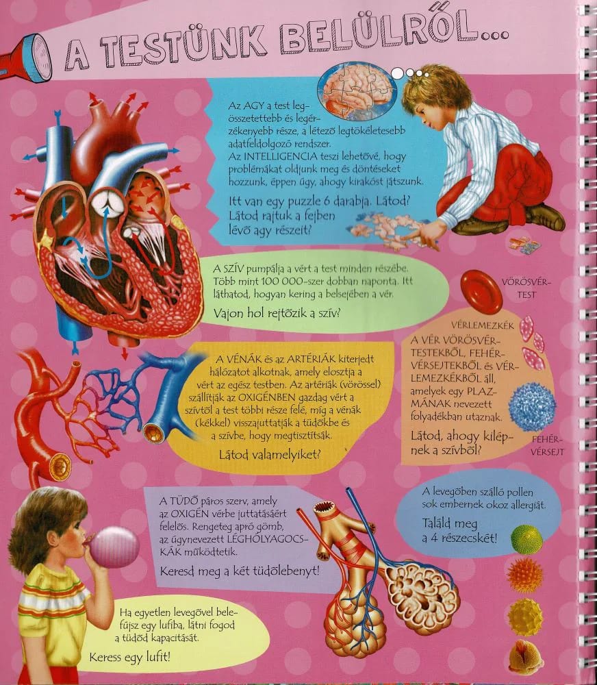Zseblámpával – Az emberi testben, imaginea 2
