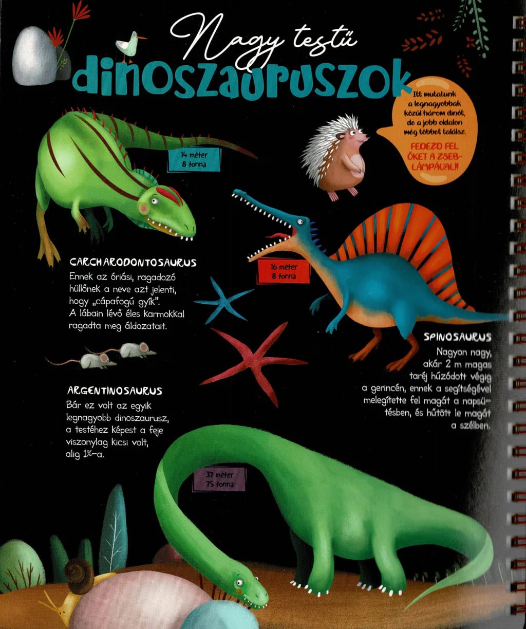 Csodalámpa – Dinók 4. kép