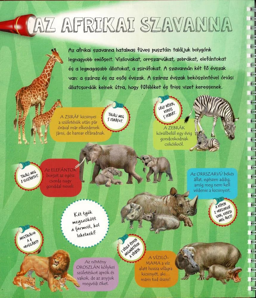 Zseblámpával – Az állatkölykök nyomában, imaginea 2