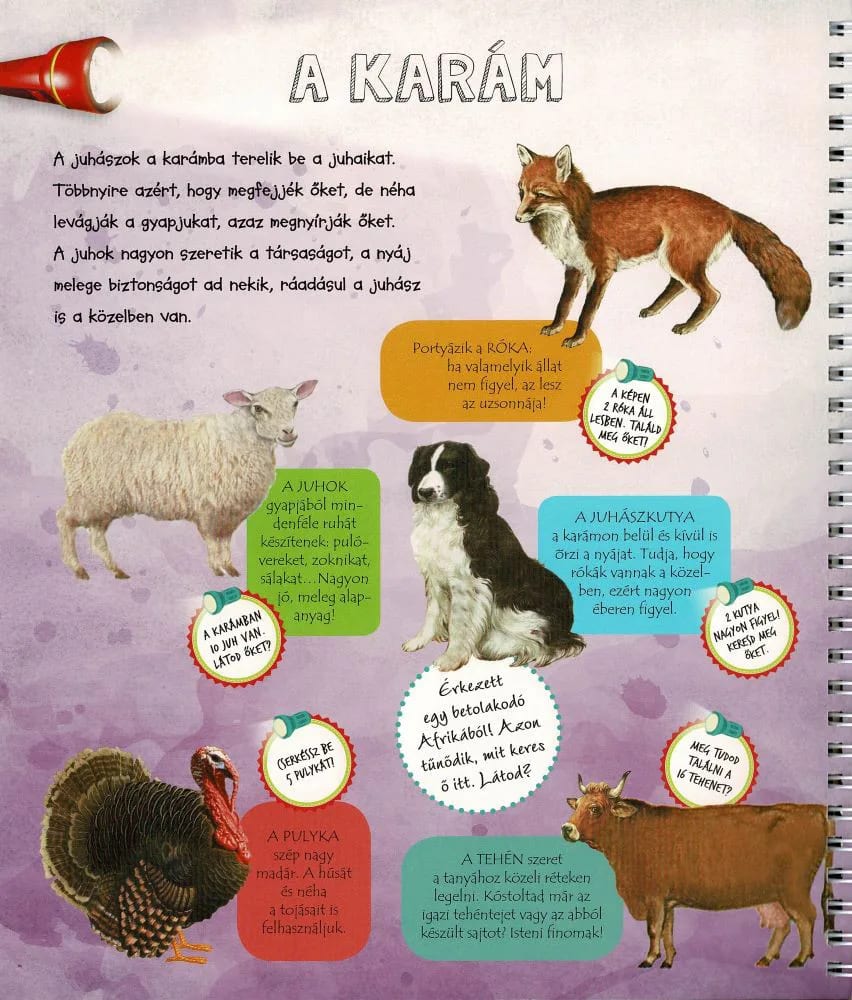 Zseblámpával – A tanyán, imaginea 4