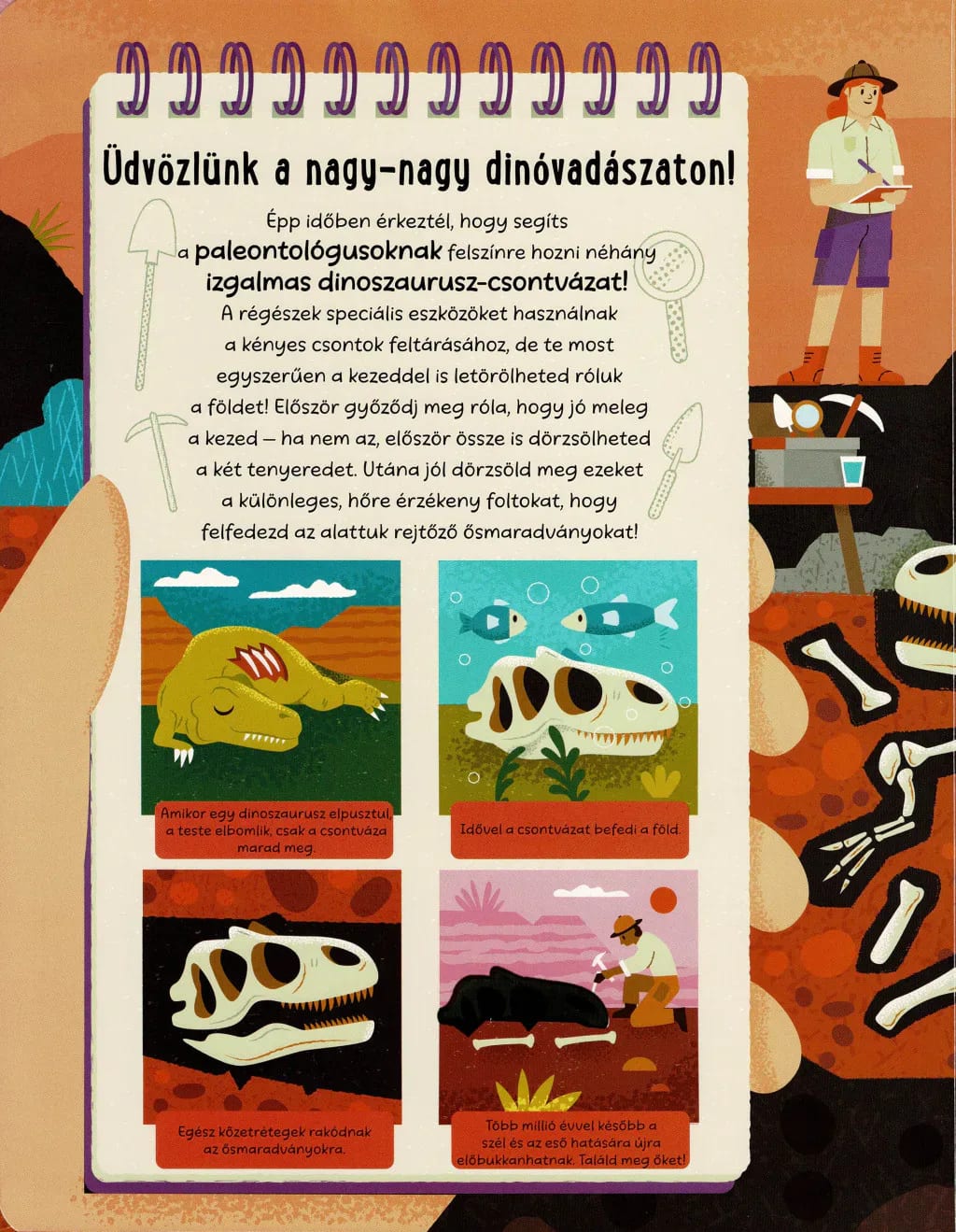 Legyél te is régész! – Dinók 2. kép