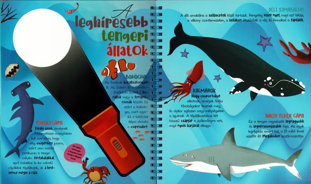 Csodalámpa – Tengeri állatok 3. kép
