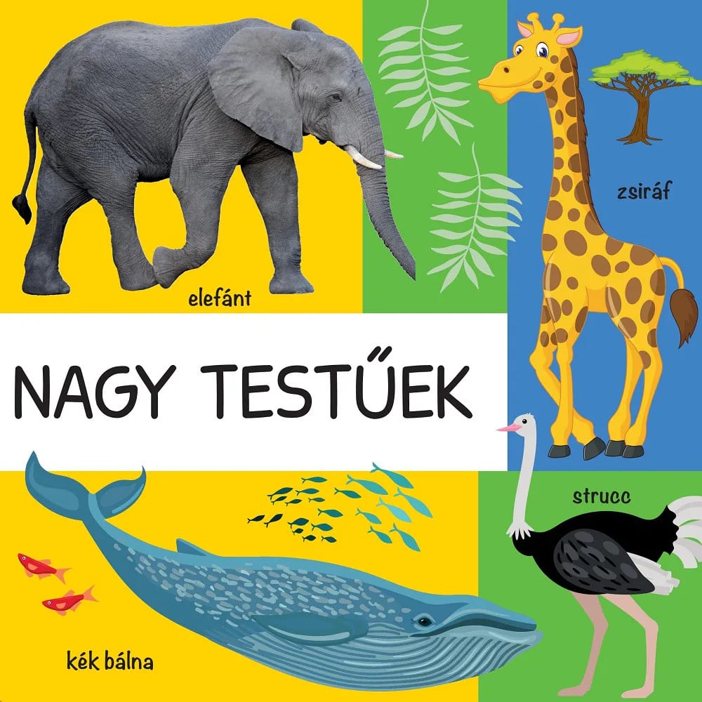 101 színes kép a vadon élő állatokról 4. kép