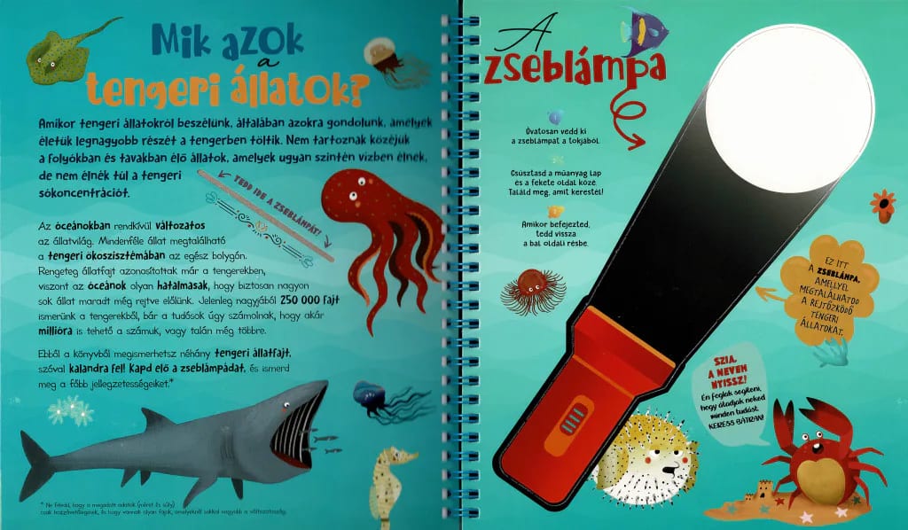 Csodalámpa – Tengeri állatok 2. kép