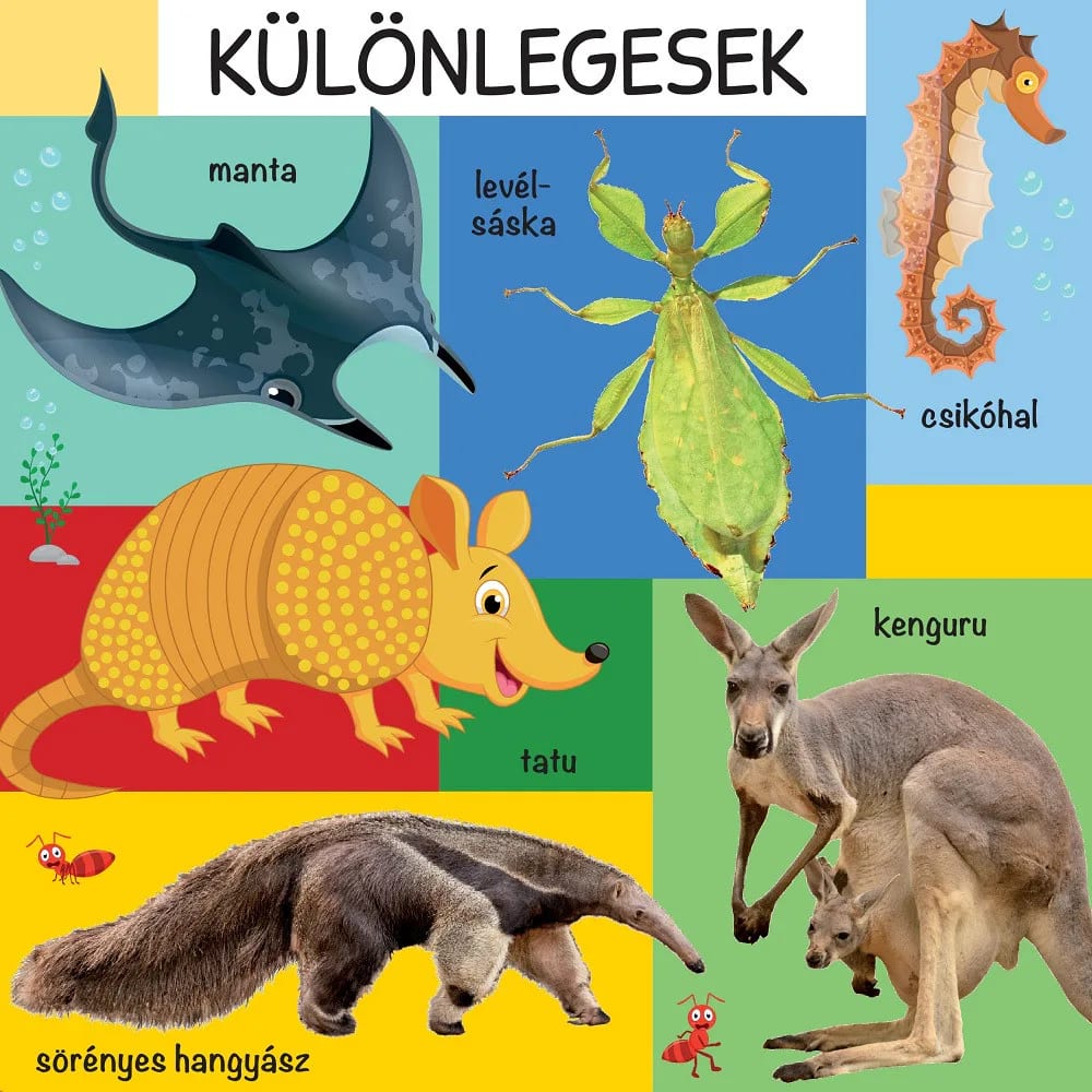 101 színes kép a vadon élő állatokról 2. kép