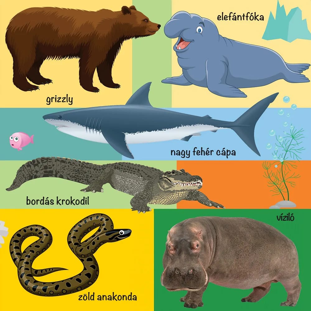 101 színes kép a vadon élő állatokról 5. kép