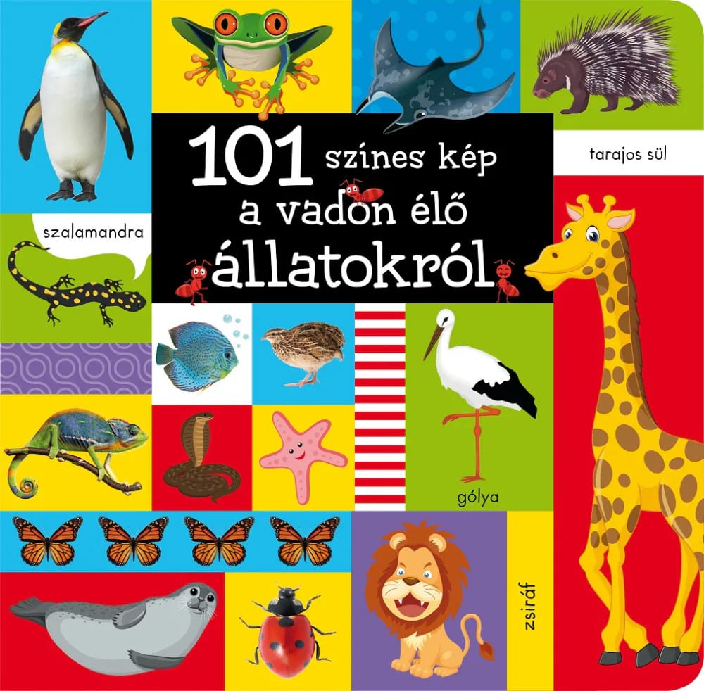 101 színes kép a vadon élő állatokról 1. kép