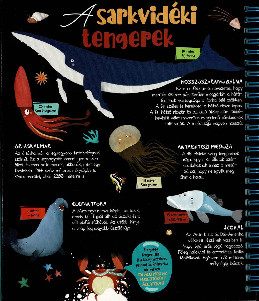 Csodalámpa – Tengeri állatok 6. kép